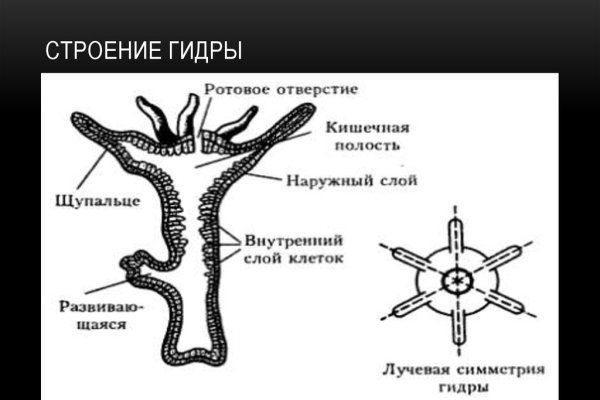 Кракен портал